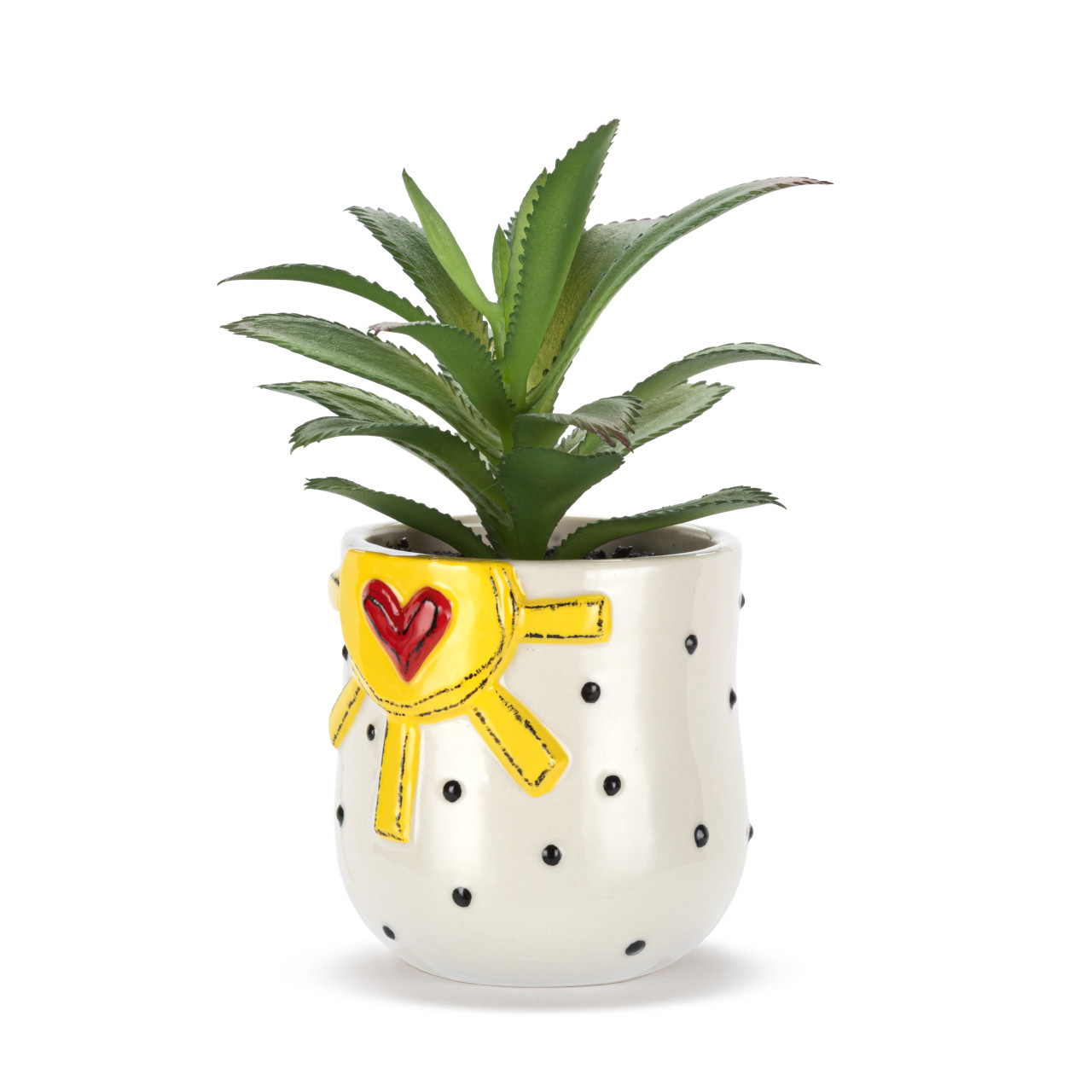 Mini Succulent - Sun & Dots thumbnail