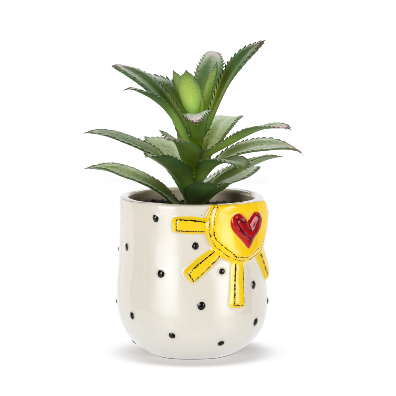 Mini Succulent - Sun & Dots thumbnail
