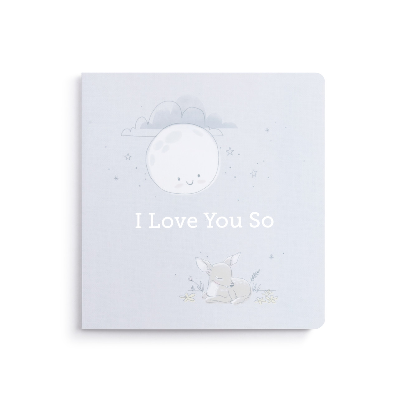 I Love You So Book and Blanket Giftset - 5x5in thumbnail