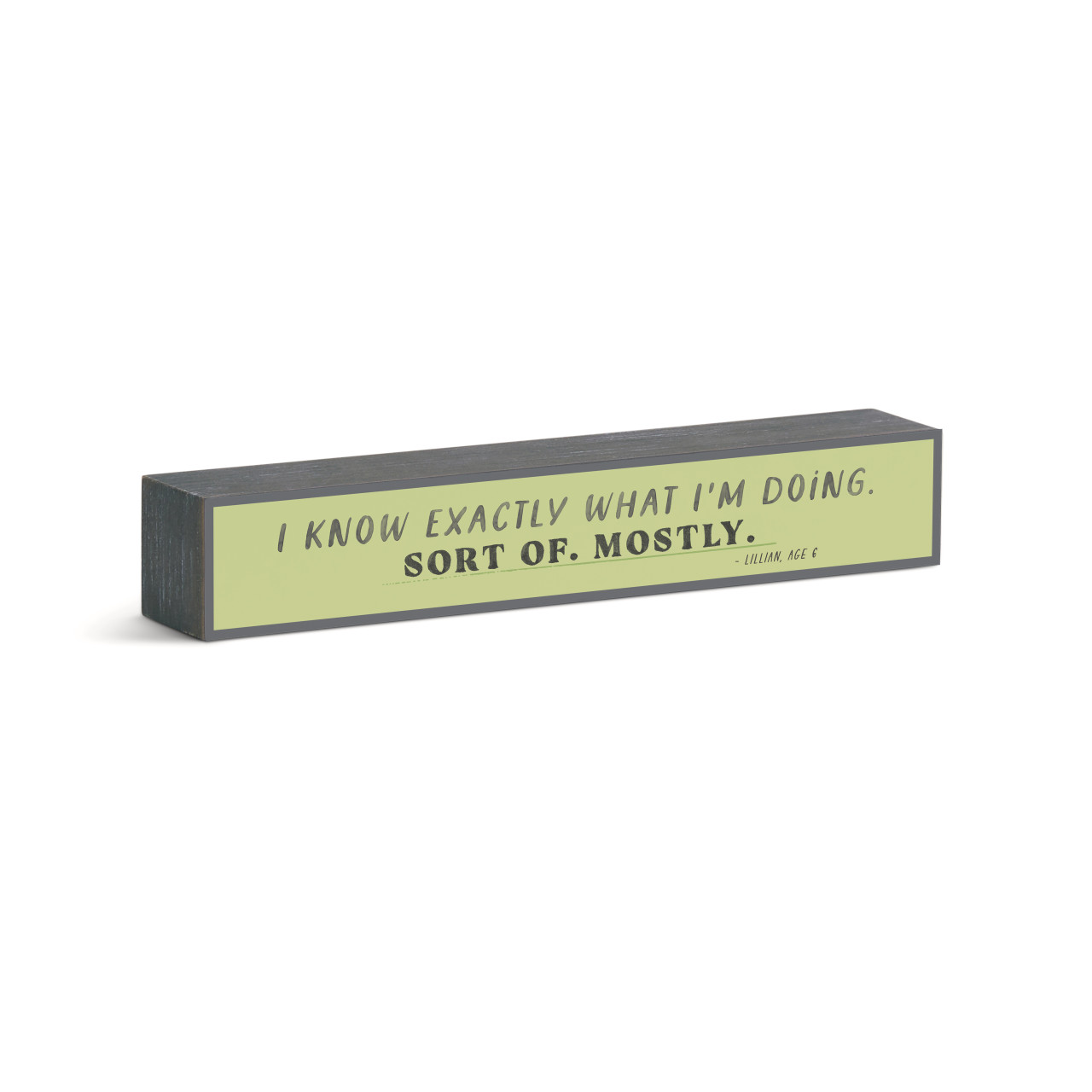 I Know What I'm Doing Wall Art 12x2" thumbnail