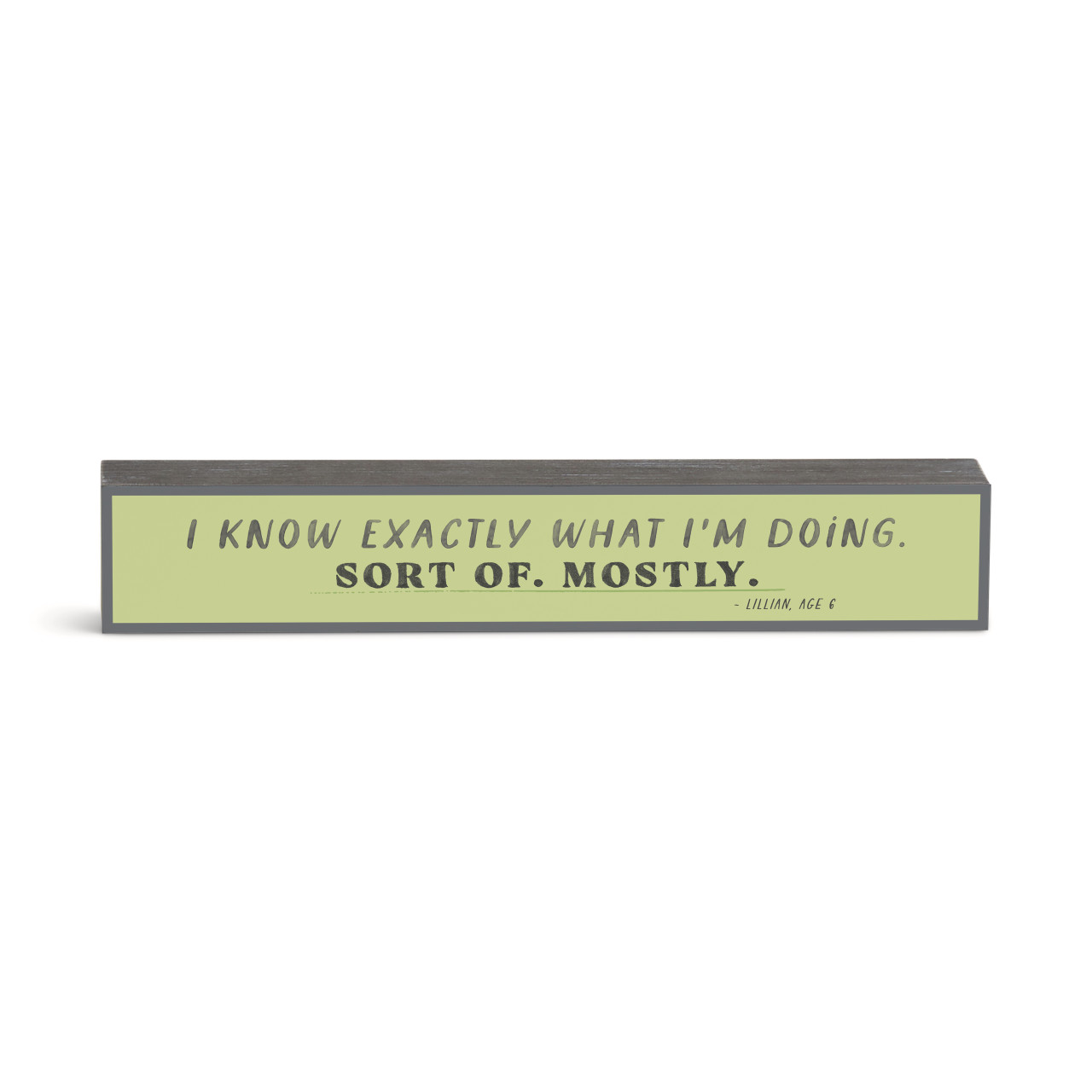 I Know What I'm Doing Wall Art 12x2" thumbnail