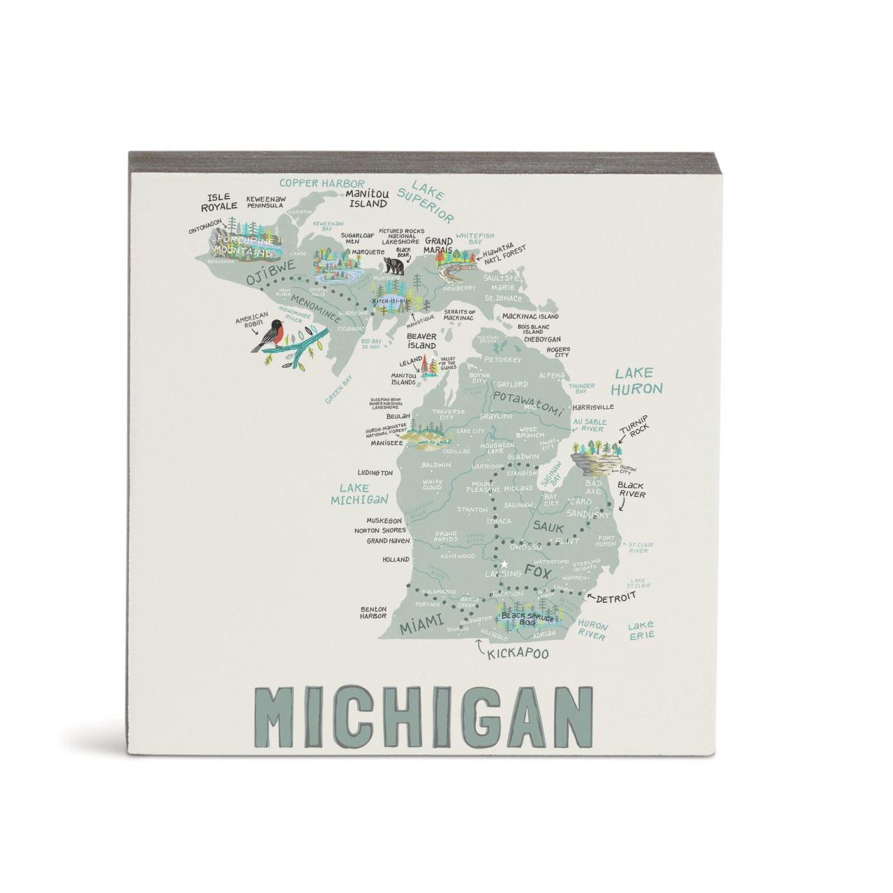 Michigan State Wall Art - 6"sq thumbnail