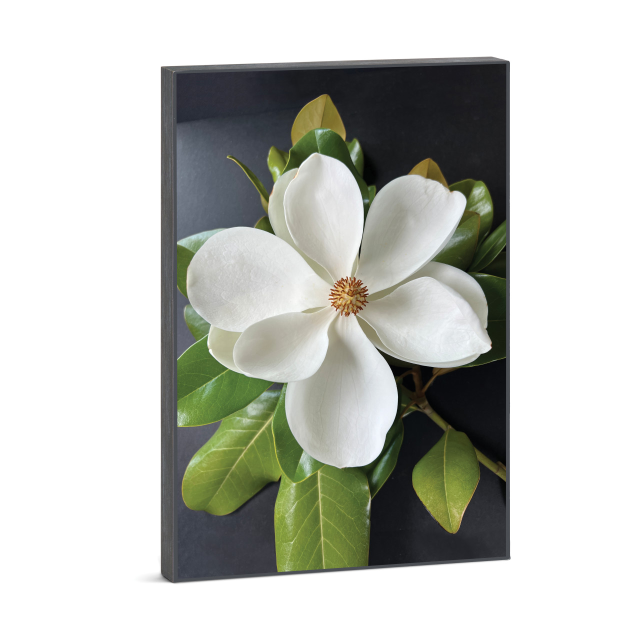 Bold Magnolia Wall Art - 12x18 thumbnail