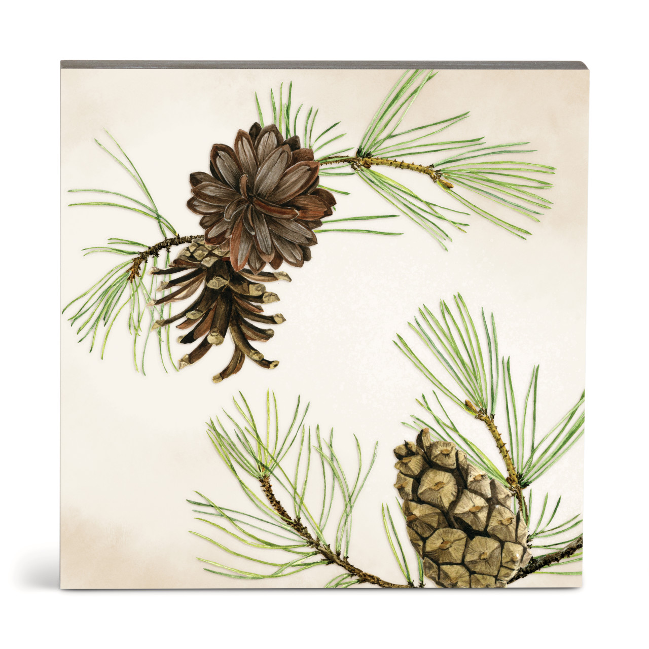 Green Pine Wall Art 10"sq thumbnail