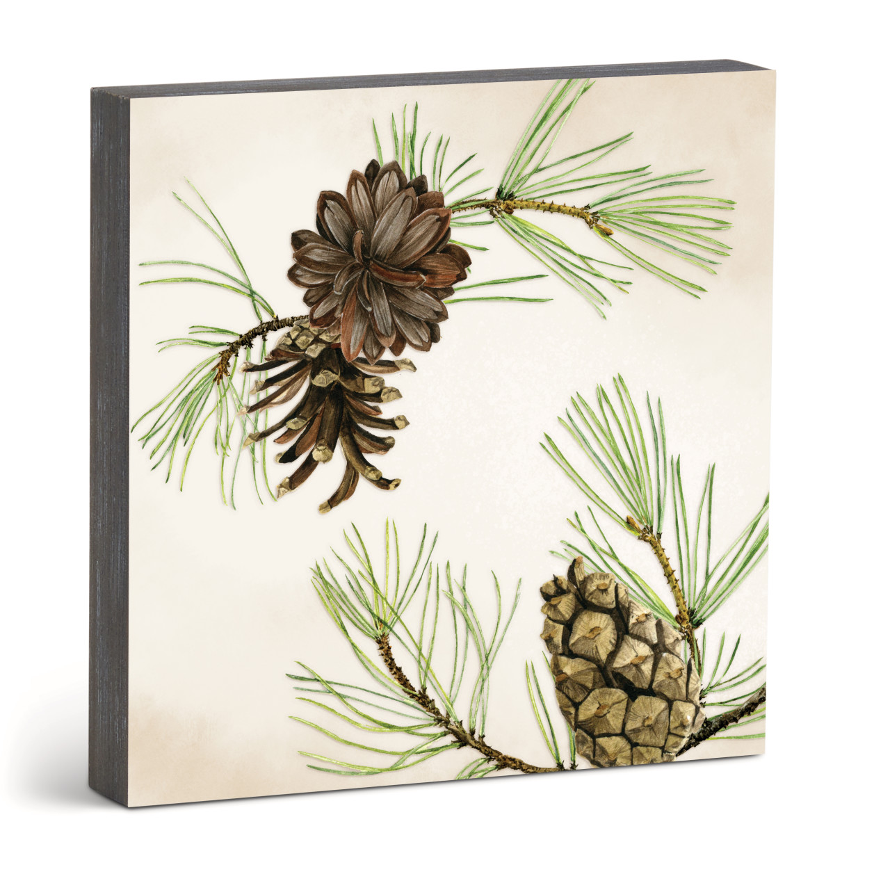 Green Pine Wall Art 10"sq thumbnail