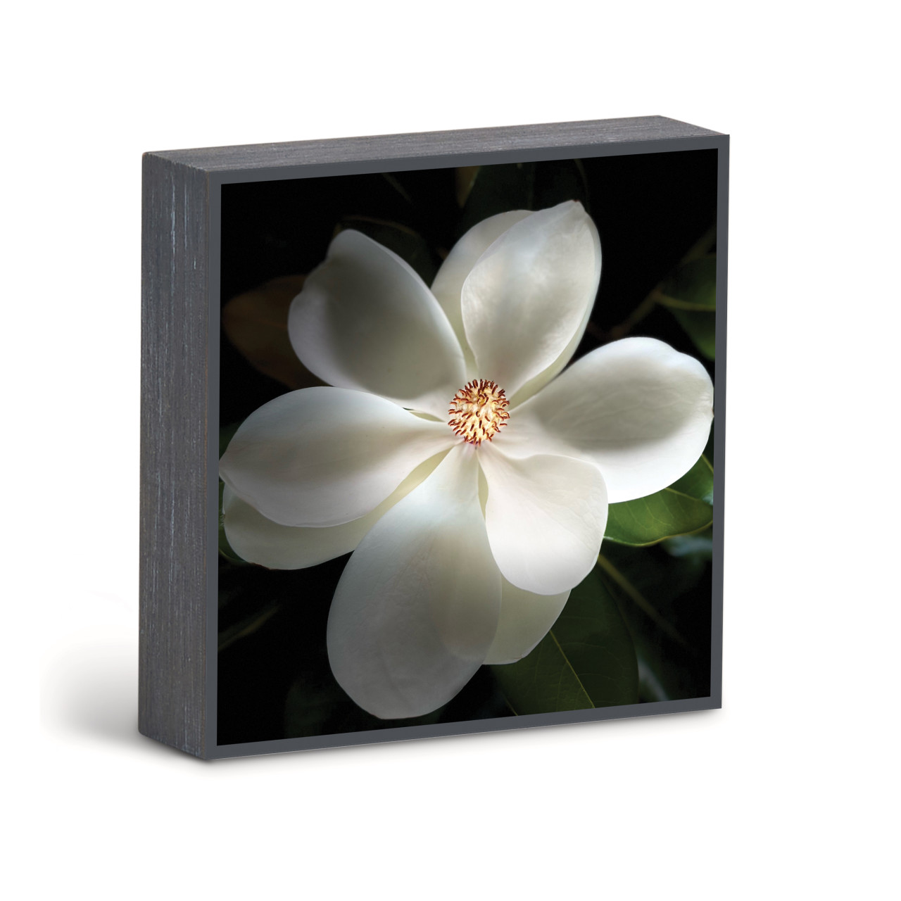 Bold Magnolia 1 Wall Art - 6"sq. thumbnail