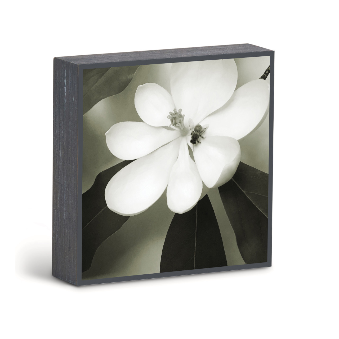 Bold Magnolia 2 Wall Art - 6"sq. thumbnail