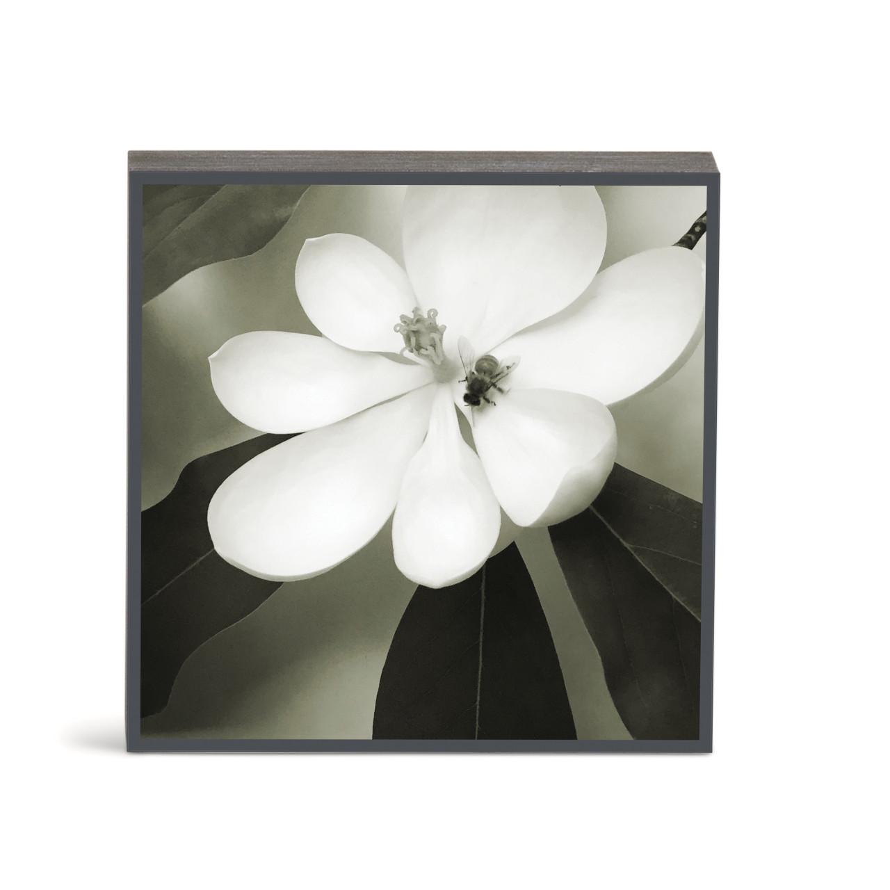 Bold Magnolia 2 Wall Art - 6"sq. thumbnail