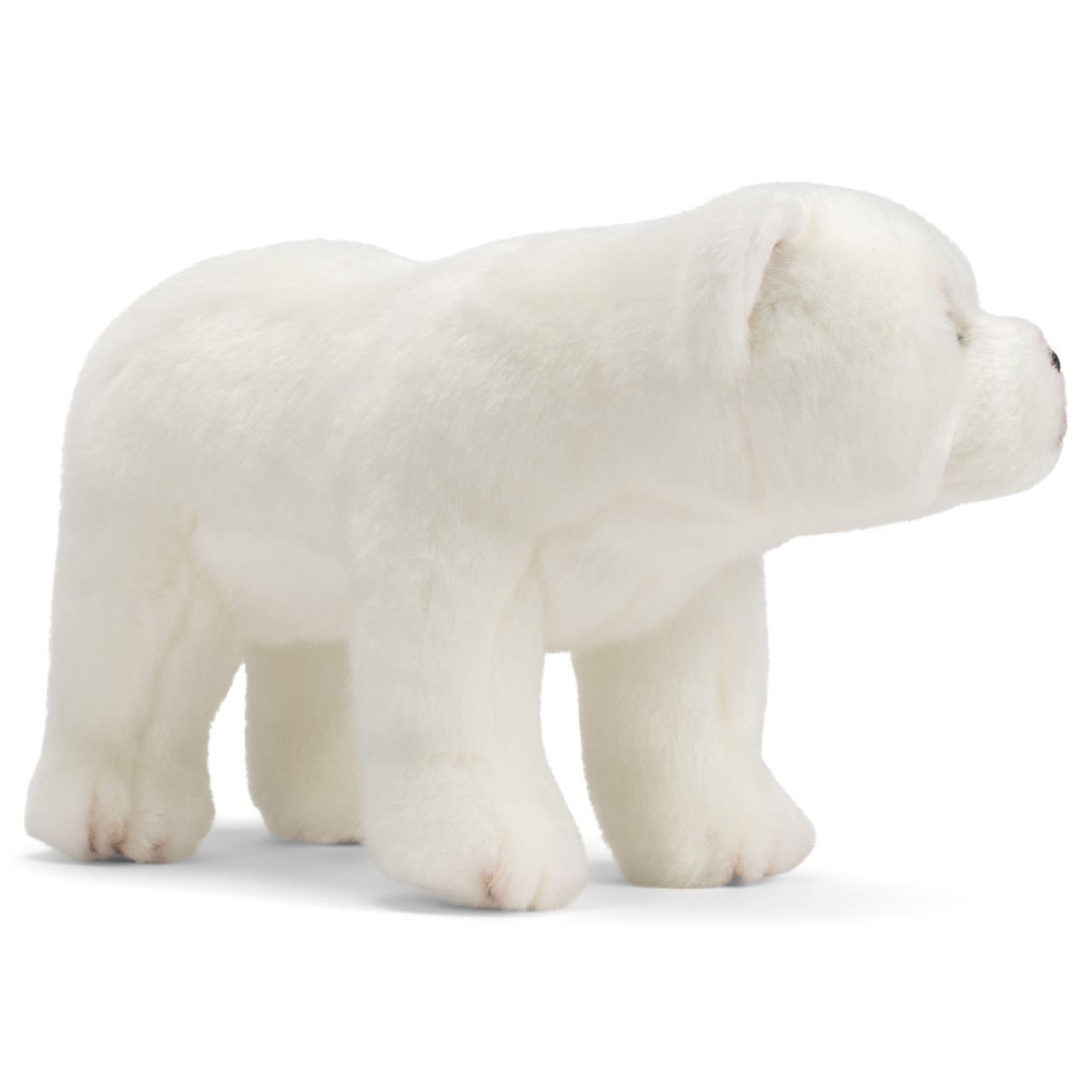 Polar Bear - Animalcraft thumbnail
