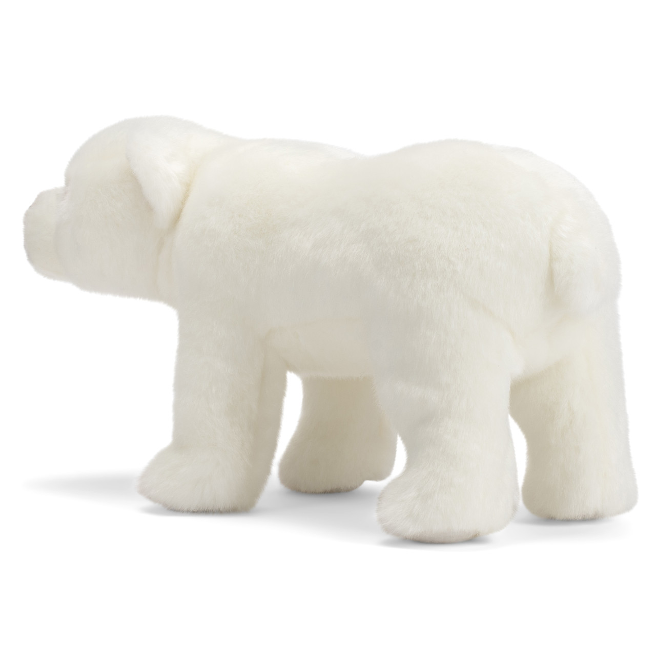 Polar Bear - Animalcraft thumbnail
