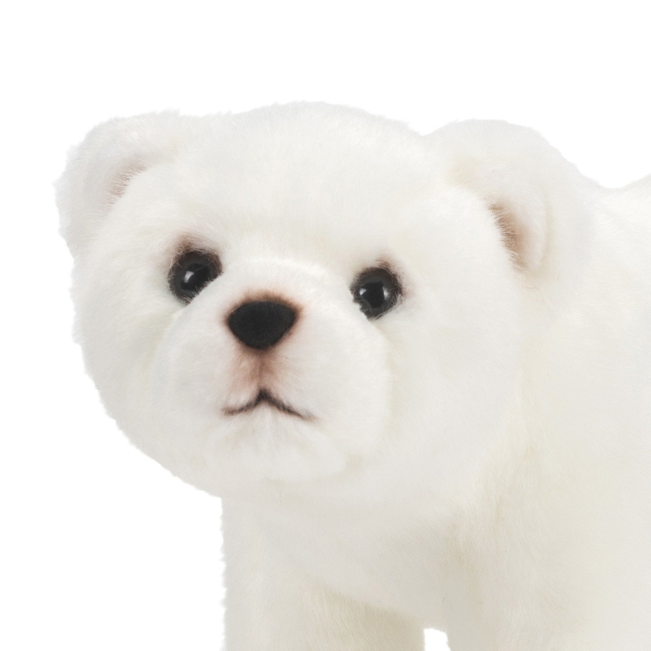 Polar Bear - Animalcraft thumbnail