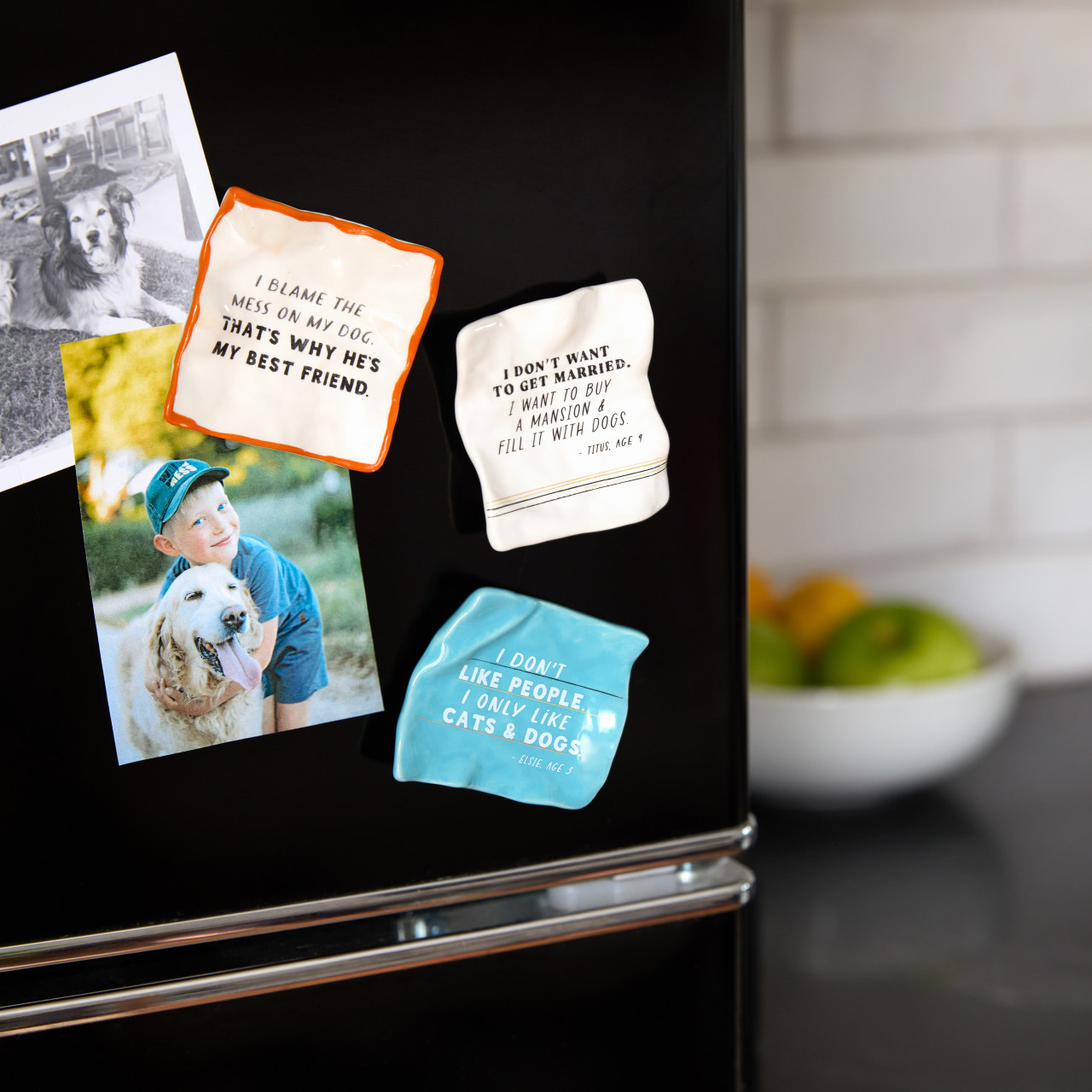 Pet Quote Ceramic Magnets - 9 Assorted thumbnail