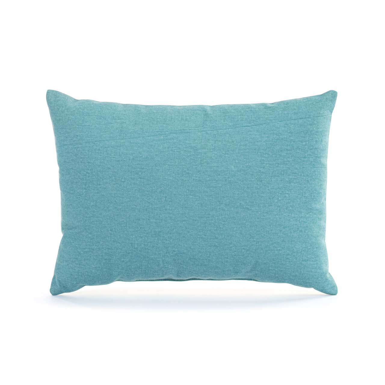 I Only Like Cats & Dogs Blue Accent Pillow thumbnail