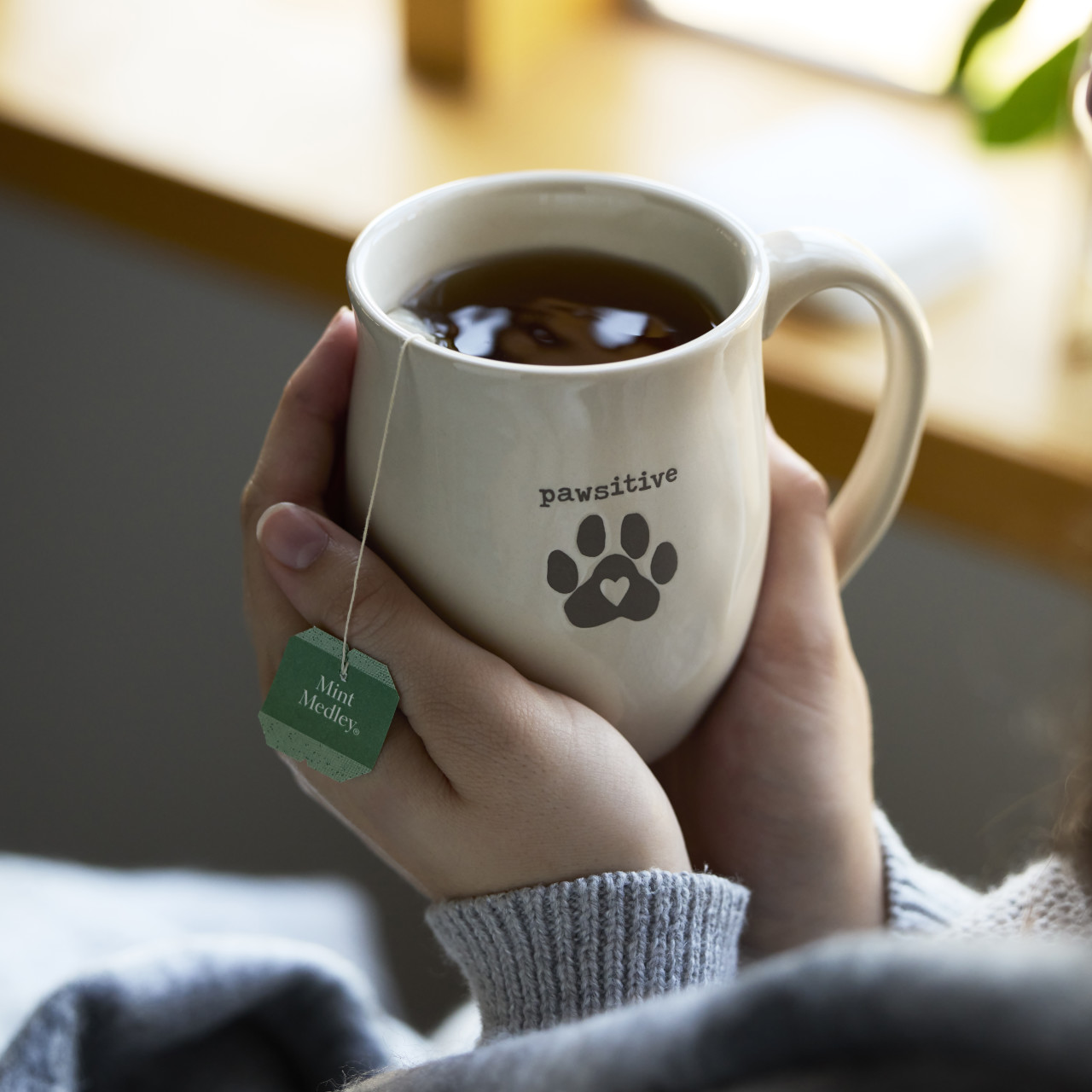 Pawsitive Paw Pets Mug - 16oz thumbnail