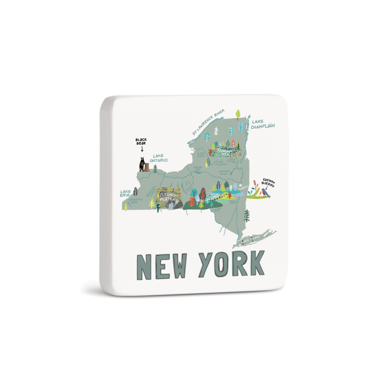 New York State Magnet - Bone thumbnail