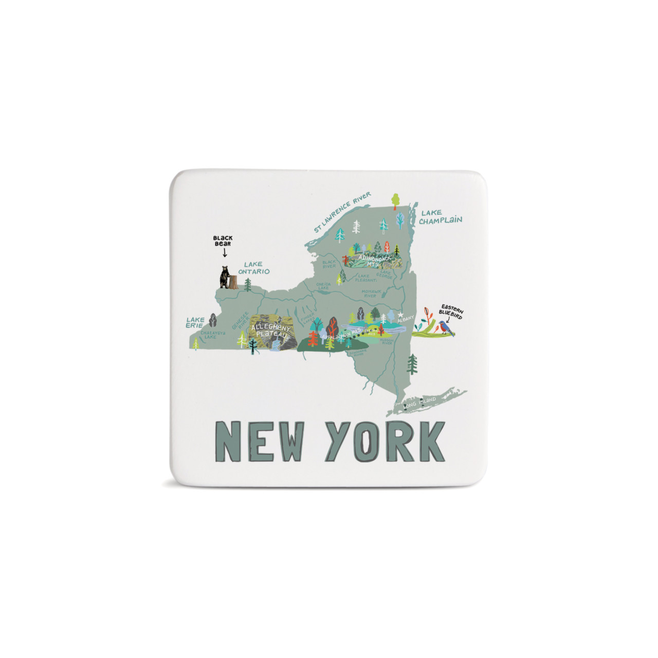 New York State Magnet - Bone thumbnail