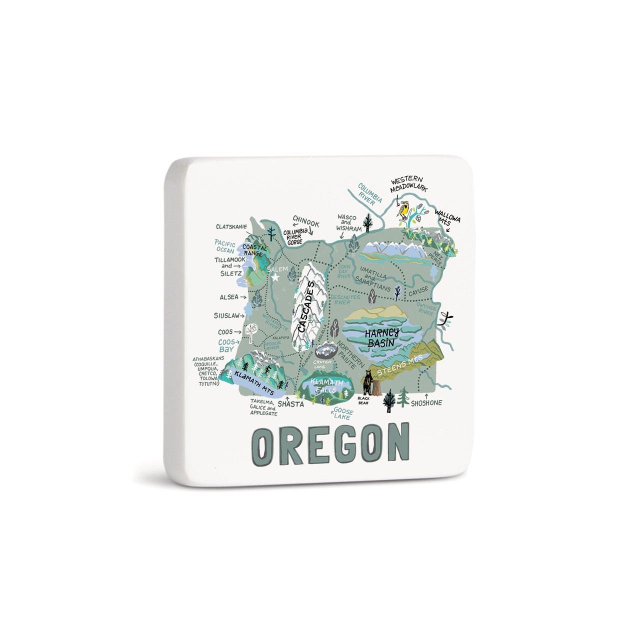 Oregon State Magnet - Bone thumbnail