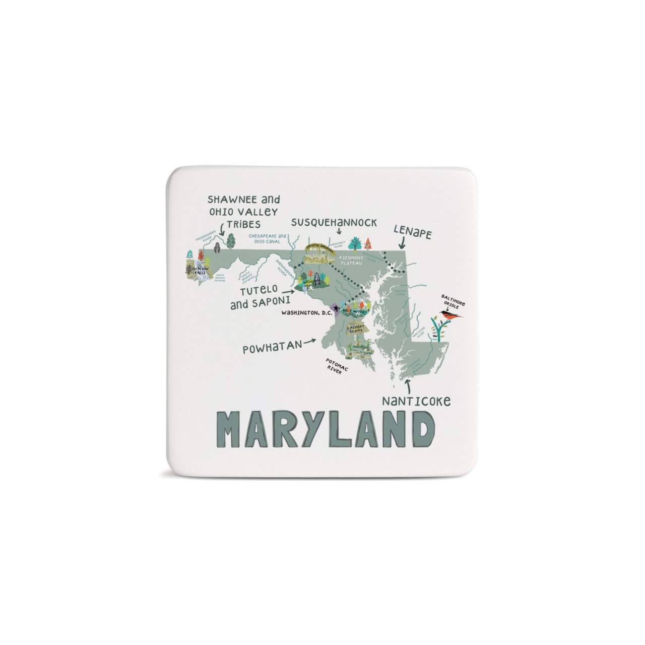 Maryland State Magnet - Bone thumbnail