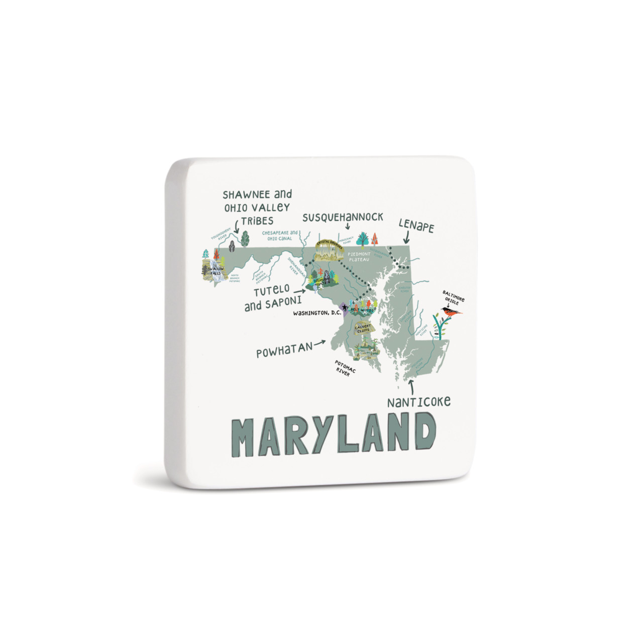 Maryland State Magnet - Bone thumbnail
