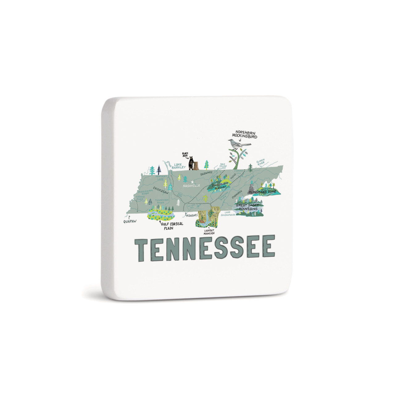 Tennessee State Magnet - Bone thumbnail
