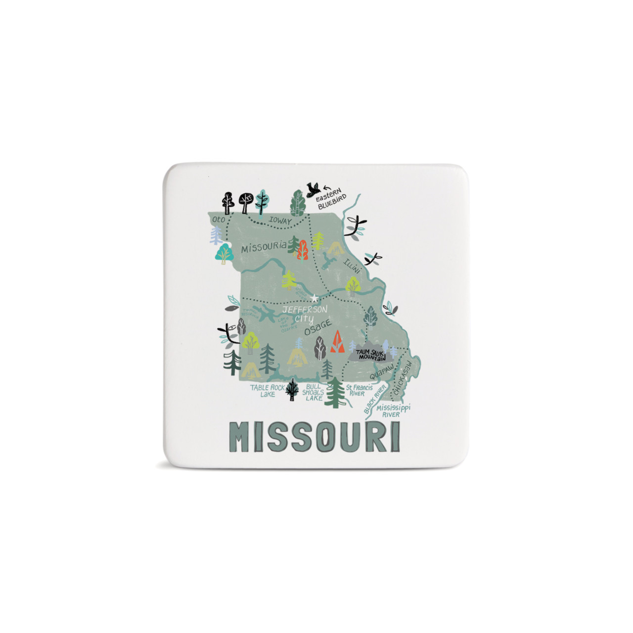 Missouri State Magnet - Bone thumbnail