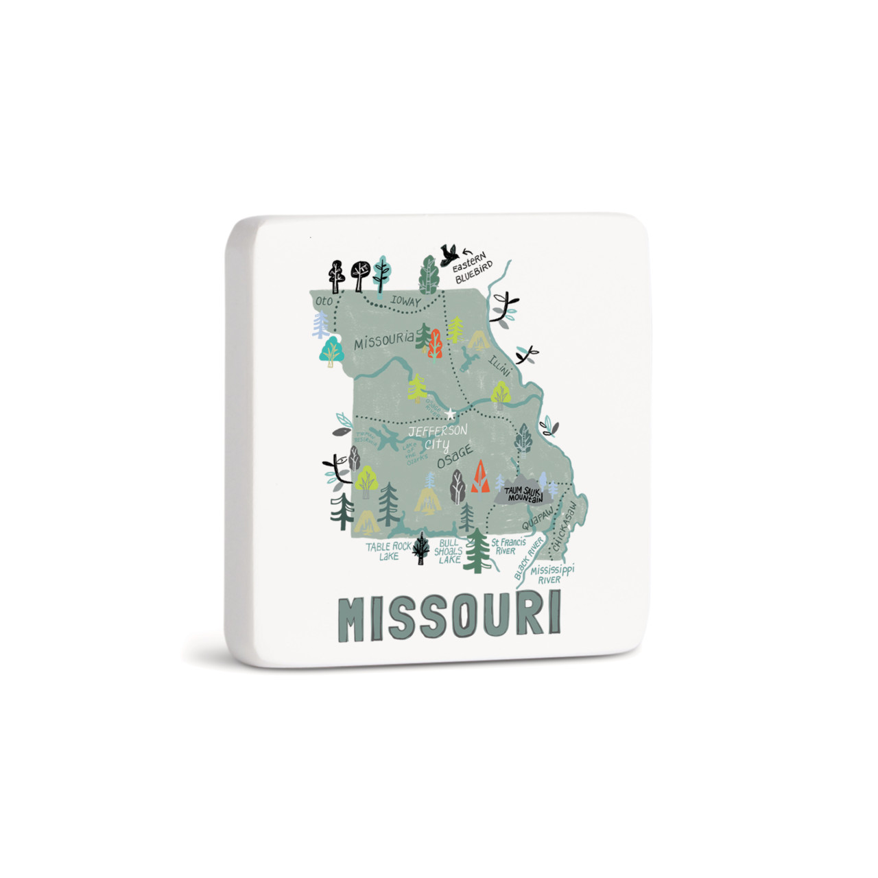 Missouri State Magnet - Bone thumbnail