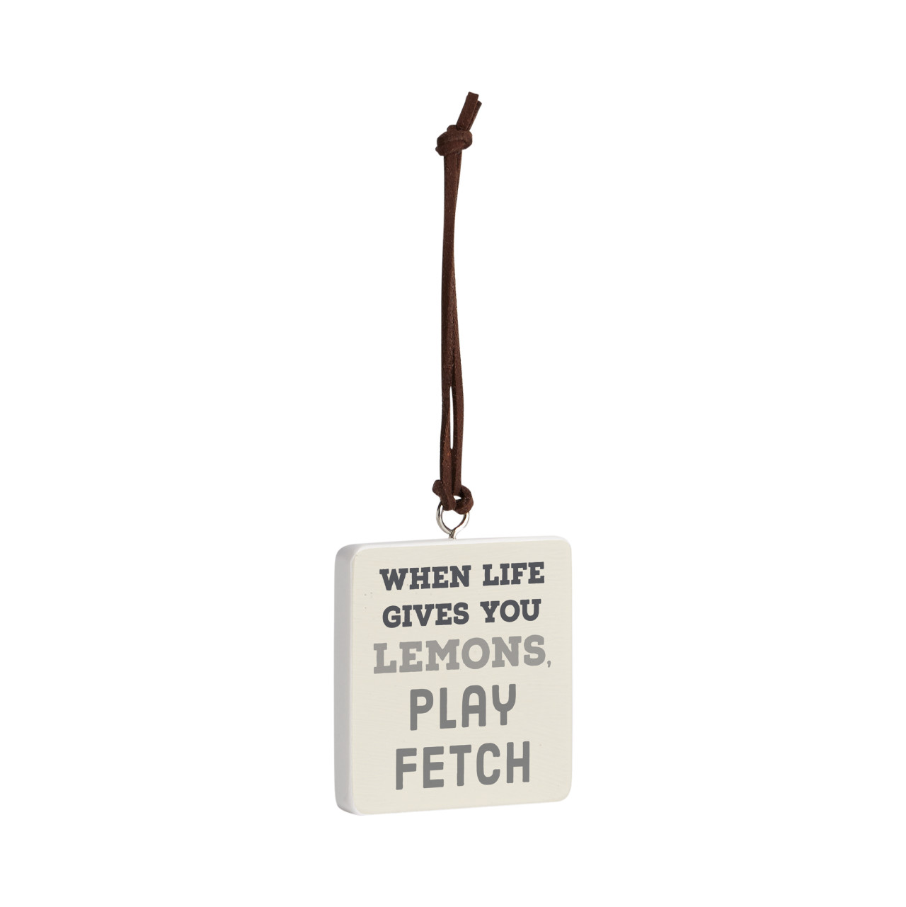Play Fetch Ornament - Bone thumbnail