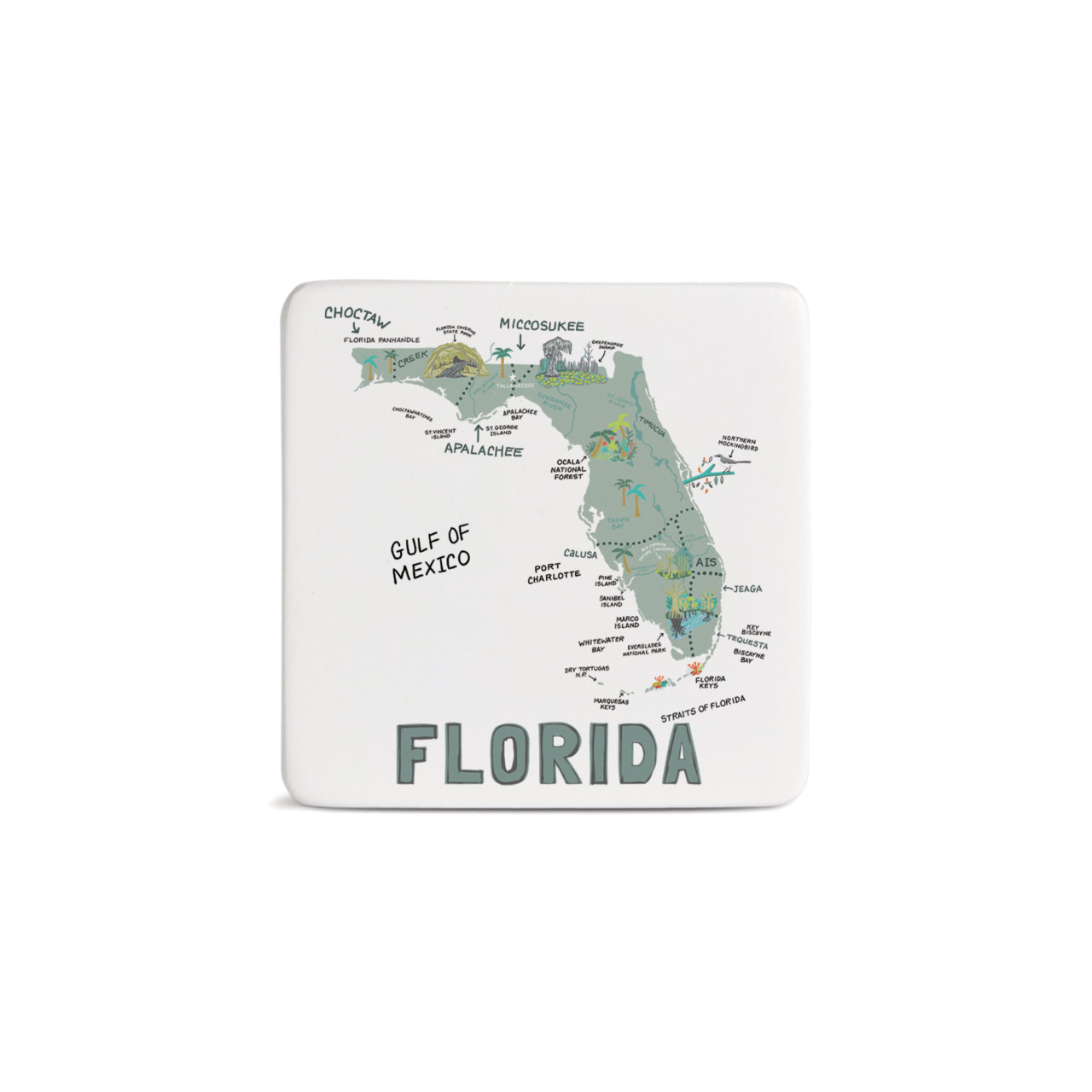 Florida State Magnet - Bone thumbnail