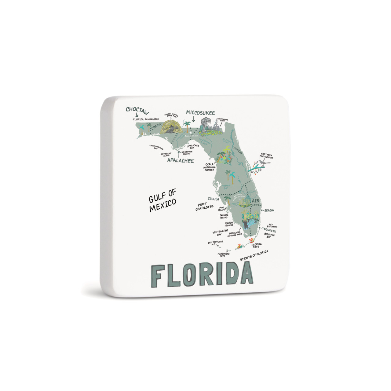 Florida State Magnet - Bone thumbnail