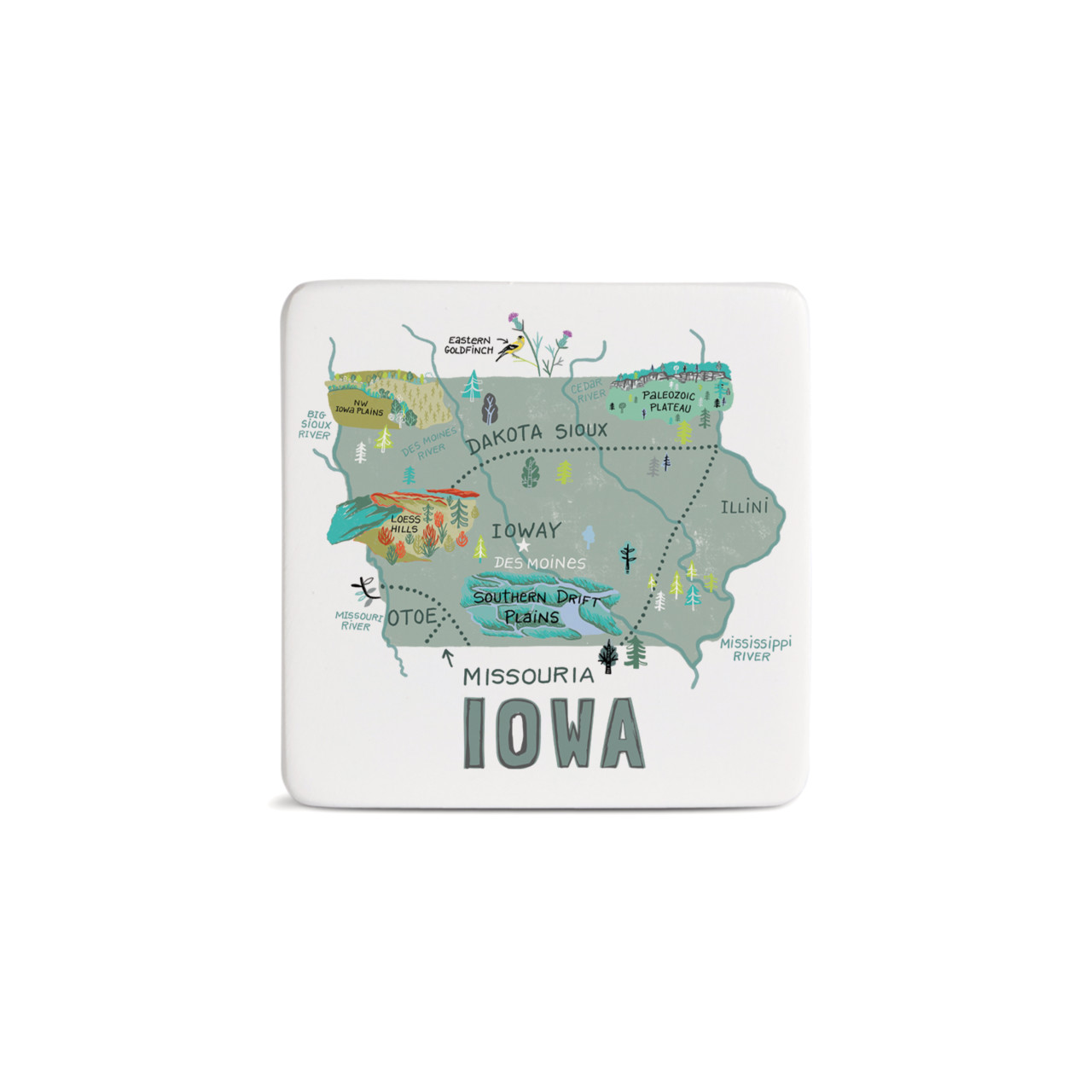 Iowa State Magnet - Bone thumbnail