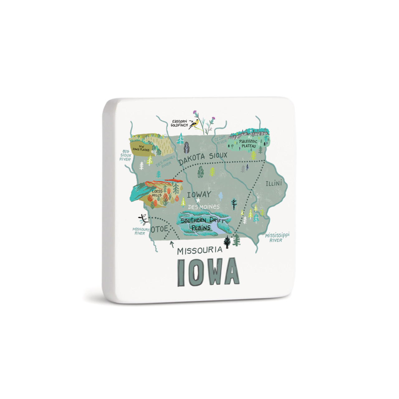 Iowa State Magnet - Bone thumbnail