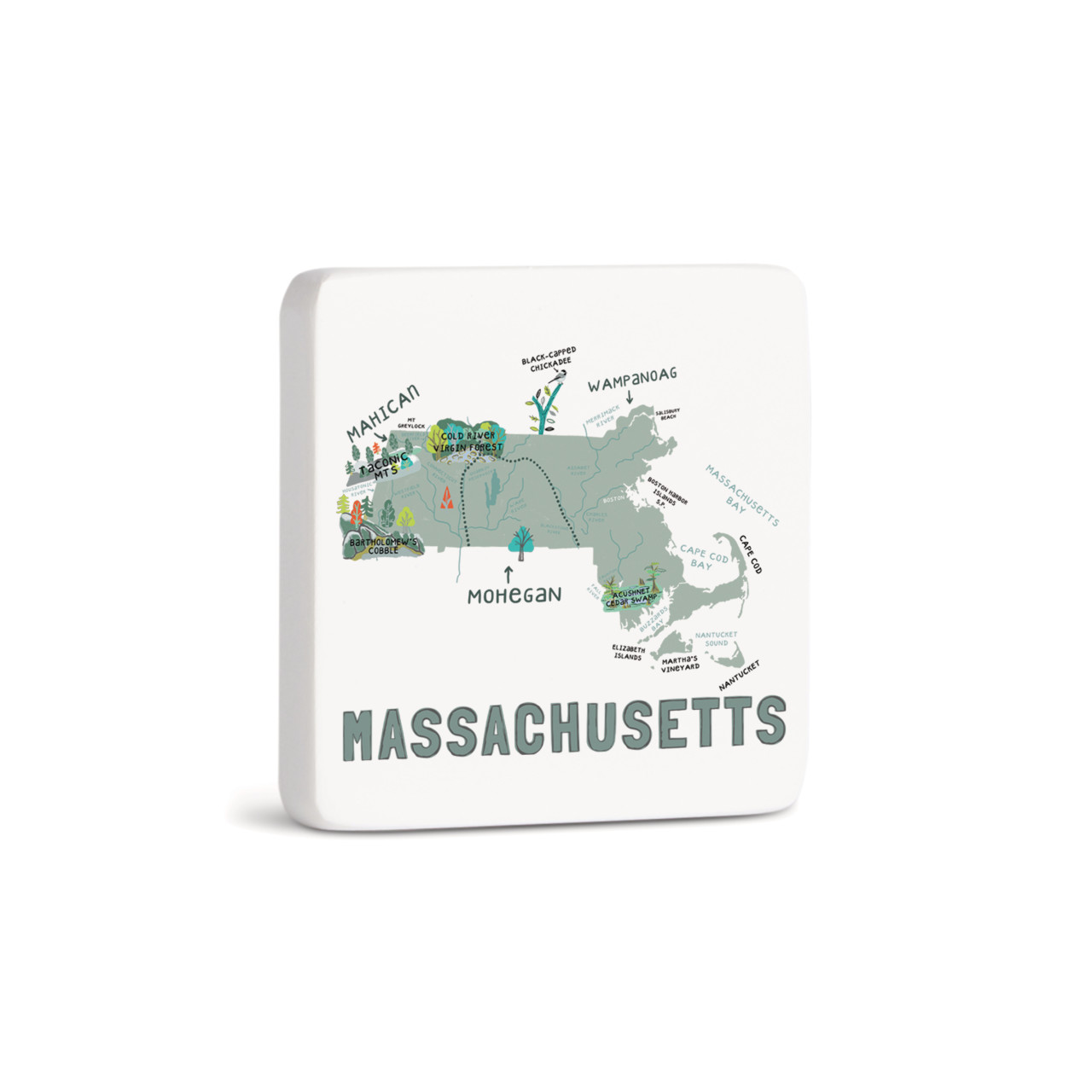 Massachusetts State Magnet - Bone thumbnail