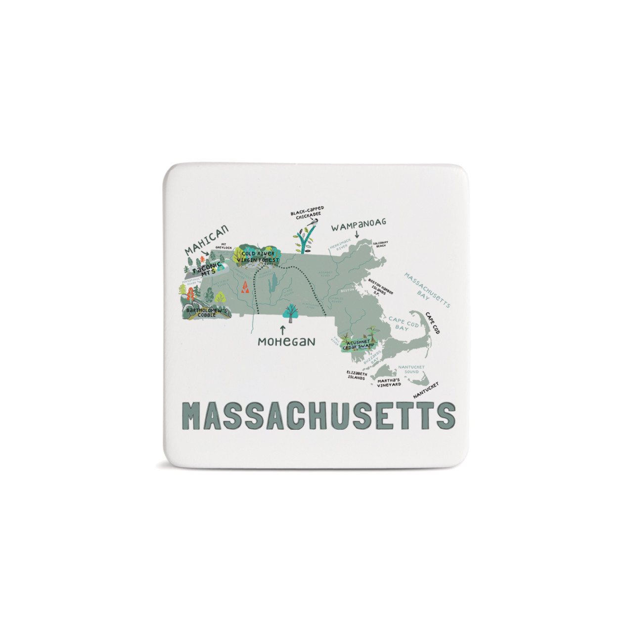 Massachusetts State Magnet - Bone thumbnail
