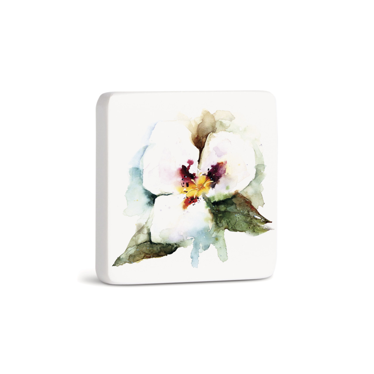 Sego Lily Magnet - Bone thumbnail
