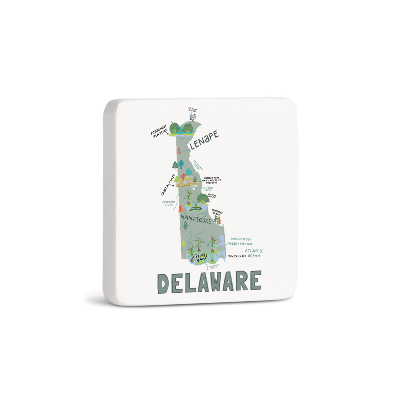 Delaware State Magnet - Bone thumbnail
