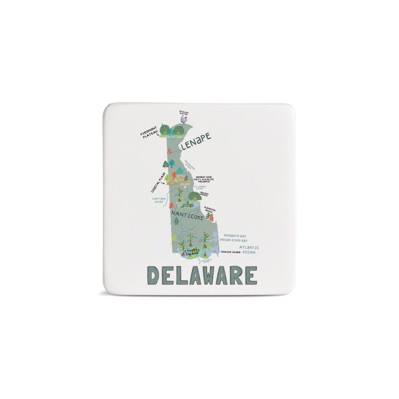 Delaware State Magnet - Bone thumbnail