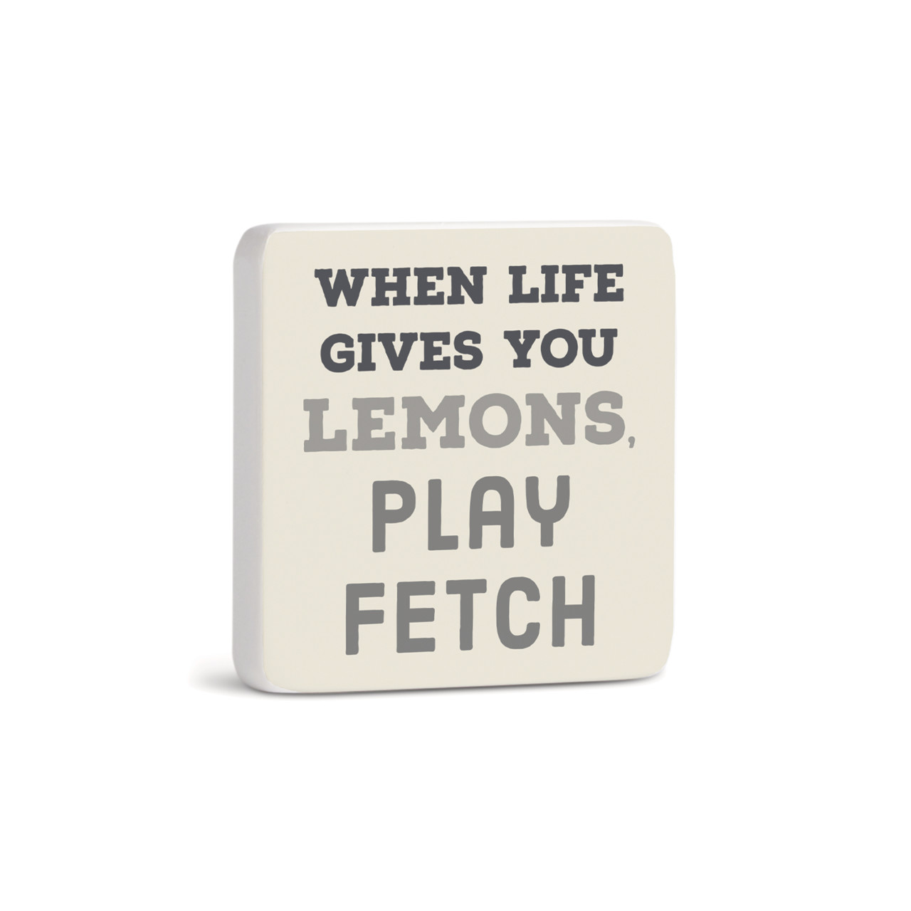 Play Fetch Magnet - Bone thumbnail