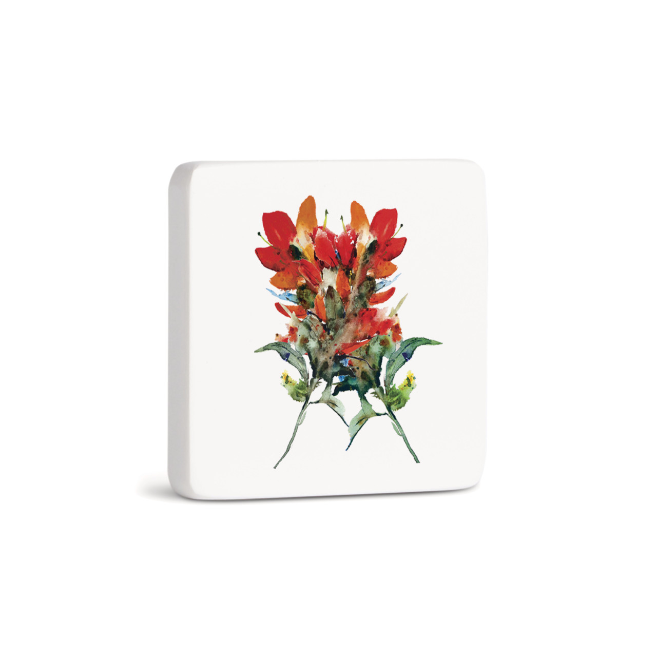 Indian Paintbrush Magnet - Bone thumbnail