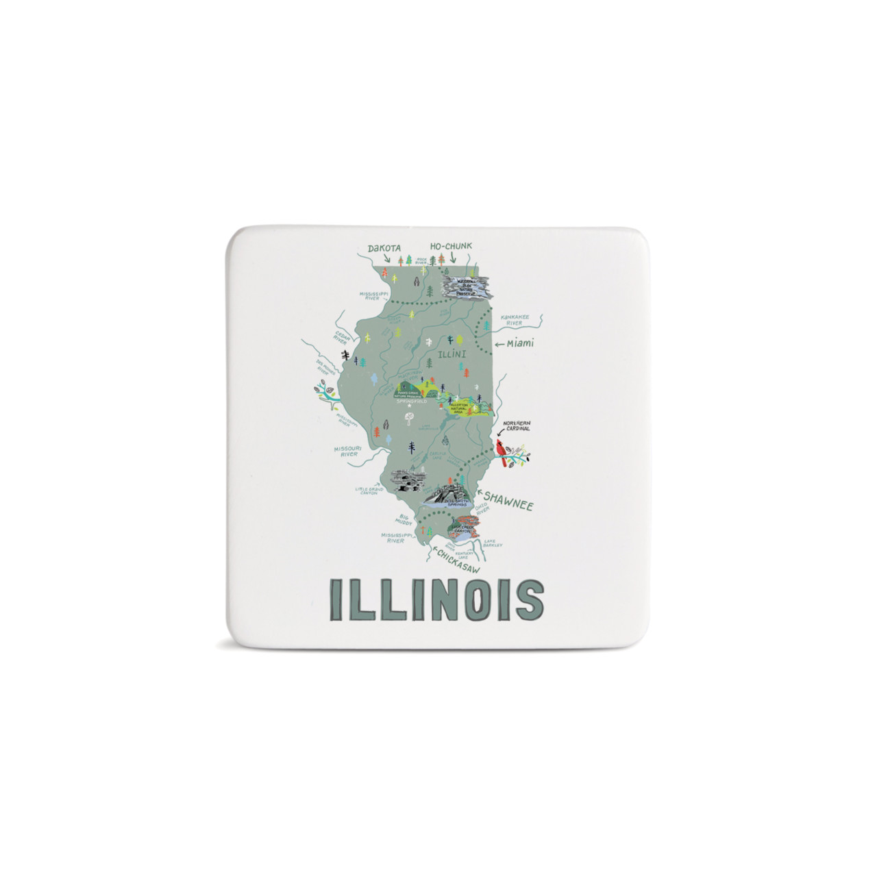 Illinois State Magnet - Bone thumbnail