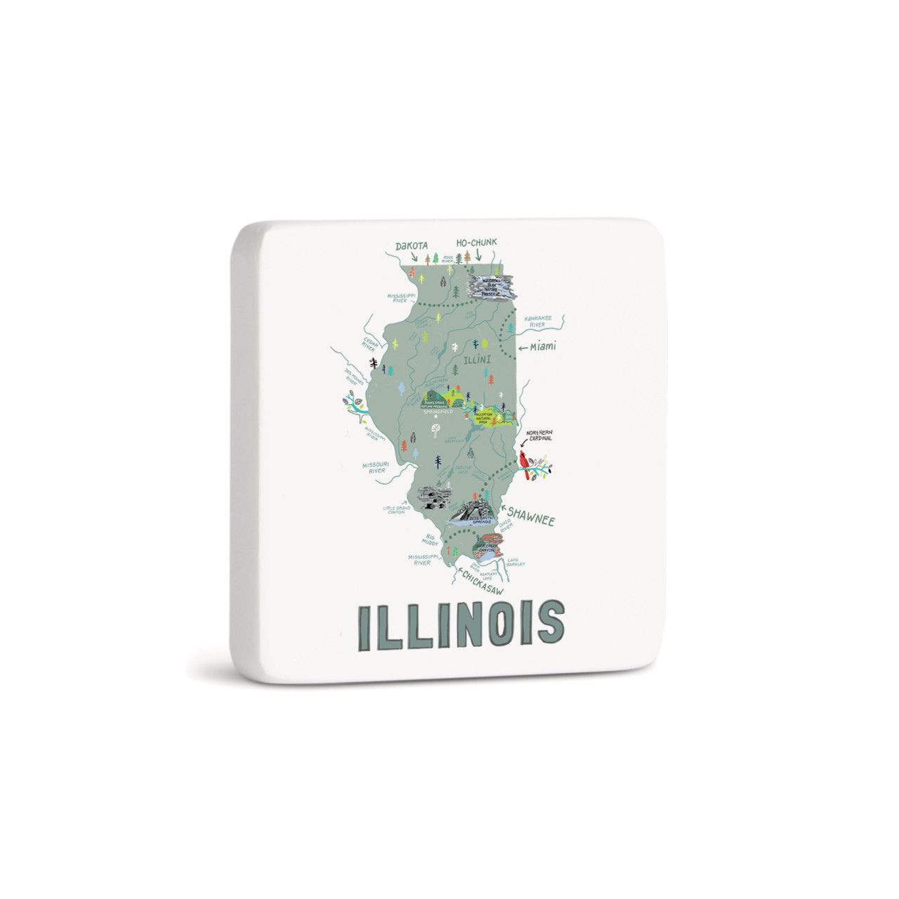 Illinois State Magnet - Bone thumbnail