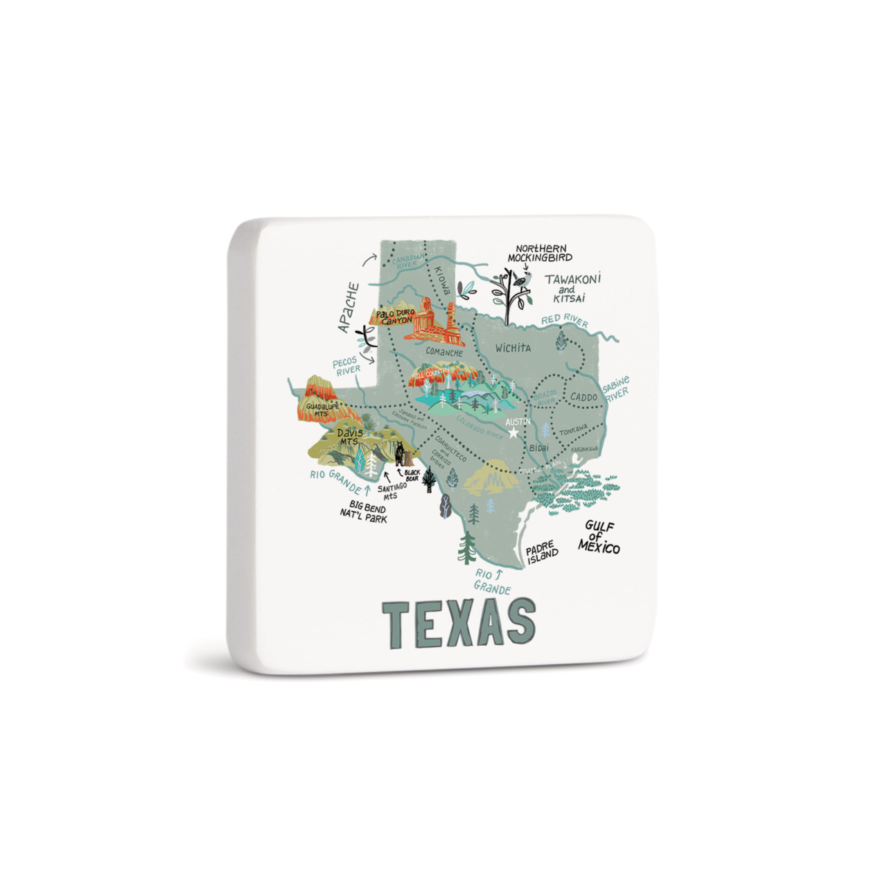Texas State Magnet - Bone thumbnail