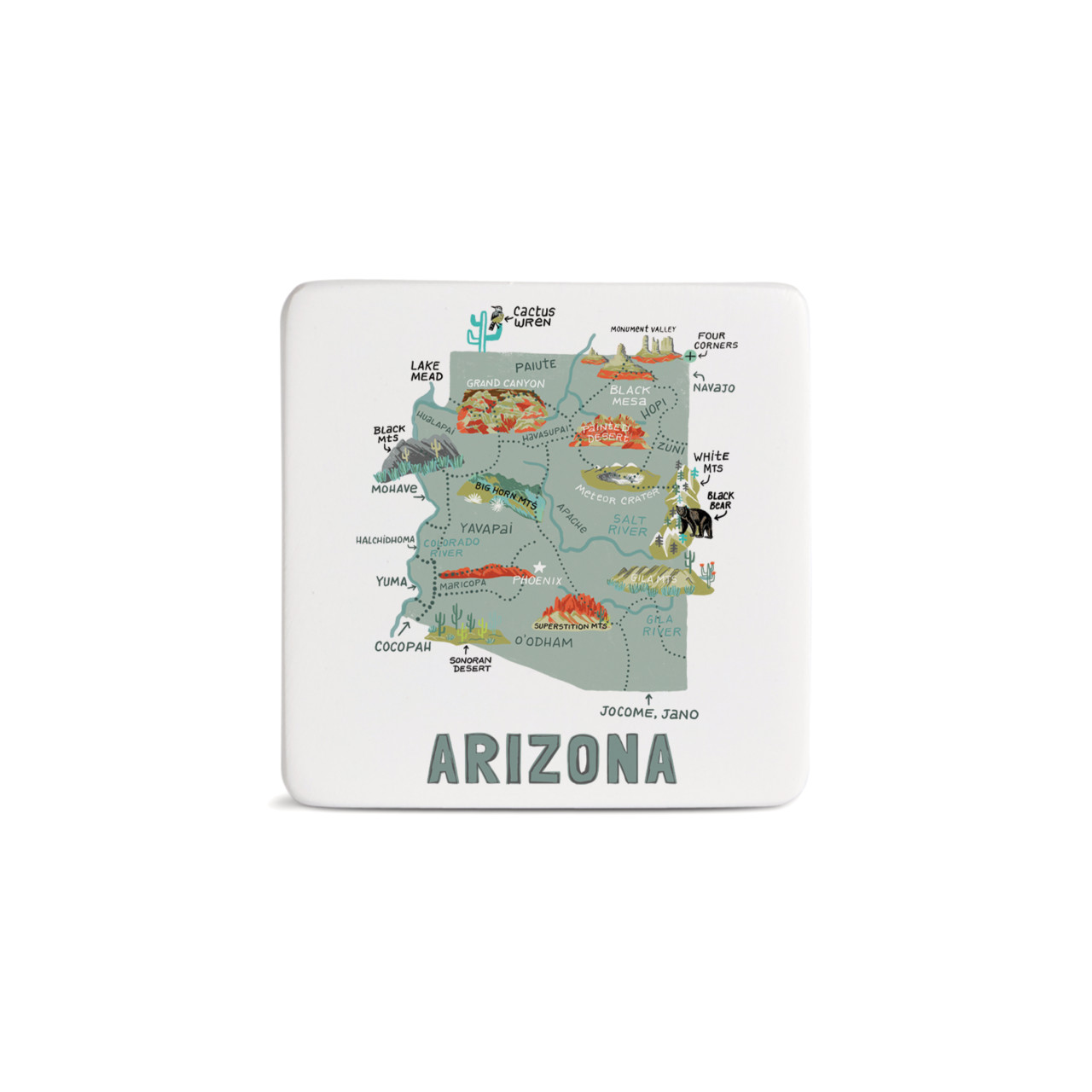 Arizona State Magnet - Bone thumbnail