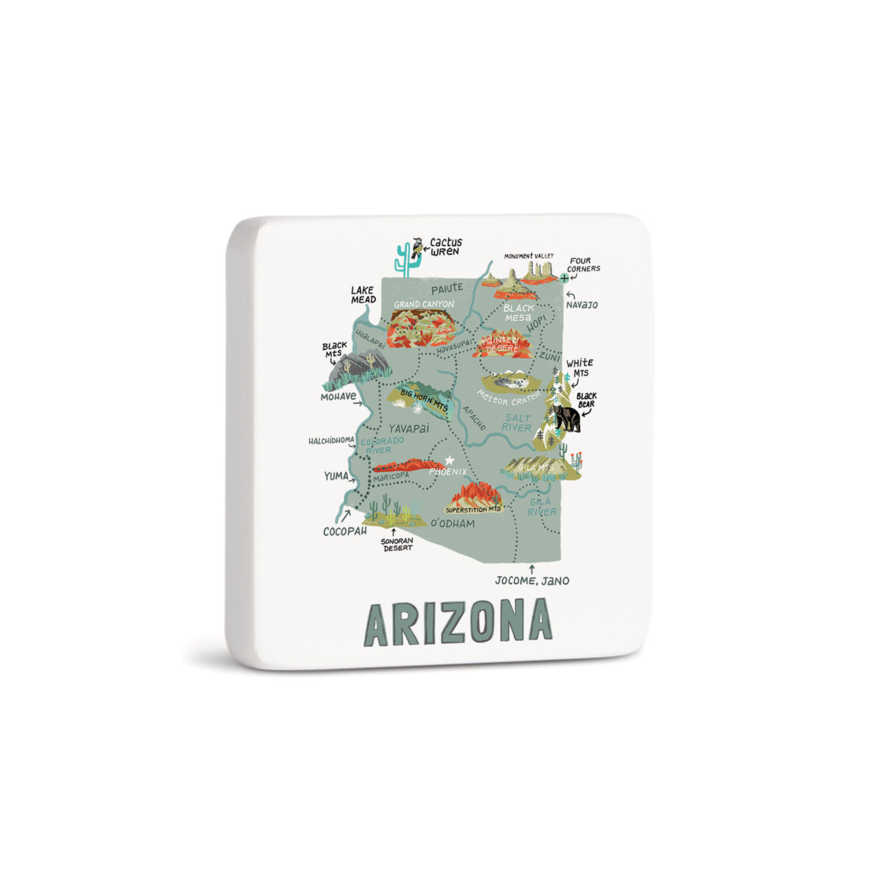 Arizona State Magnet - Bone thumbnail