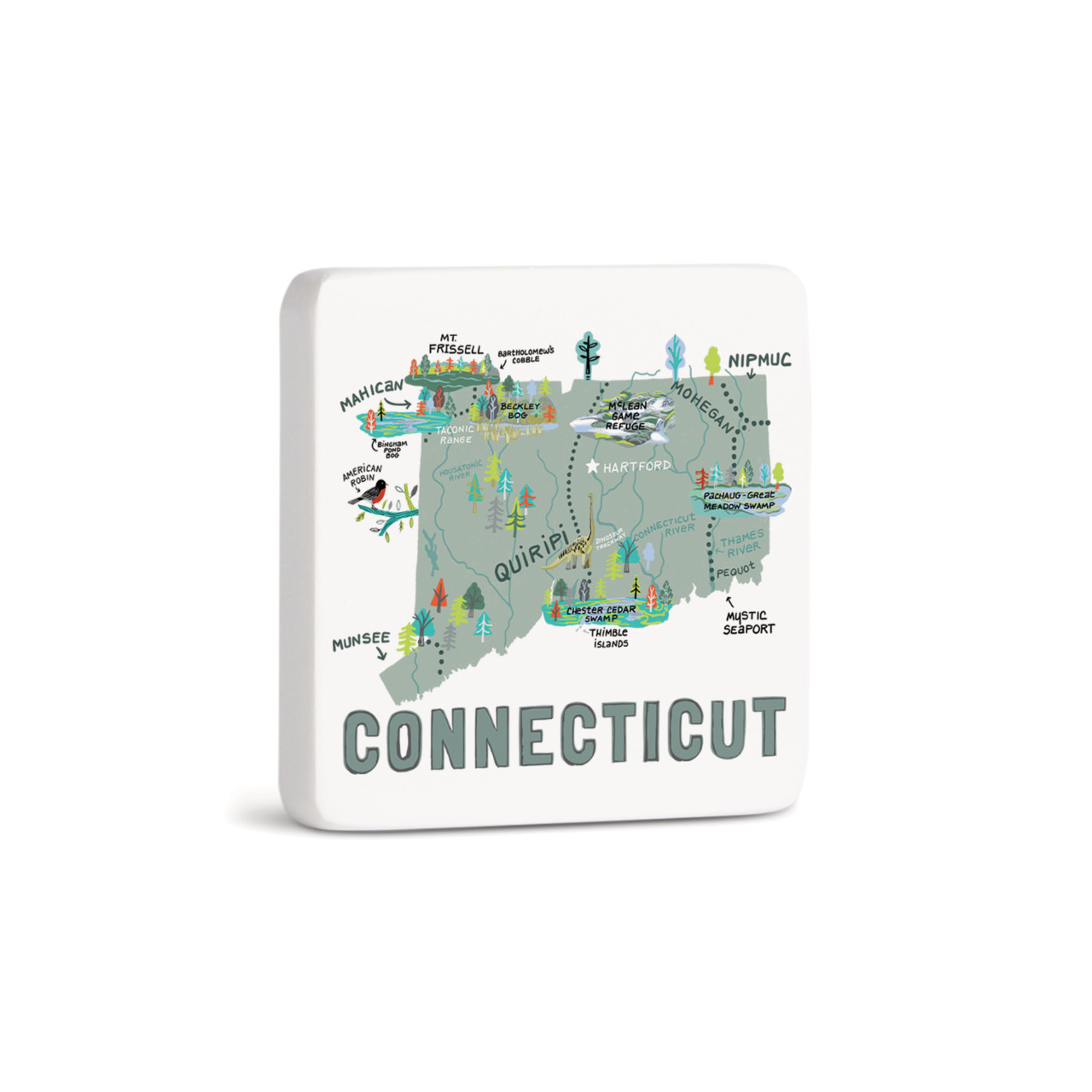 Connecticut State Magnet - Bone thumbnail