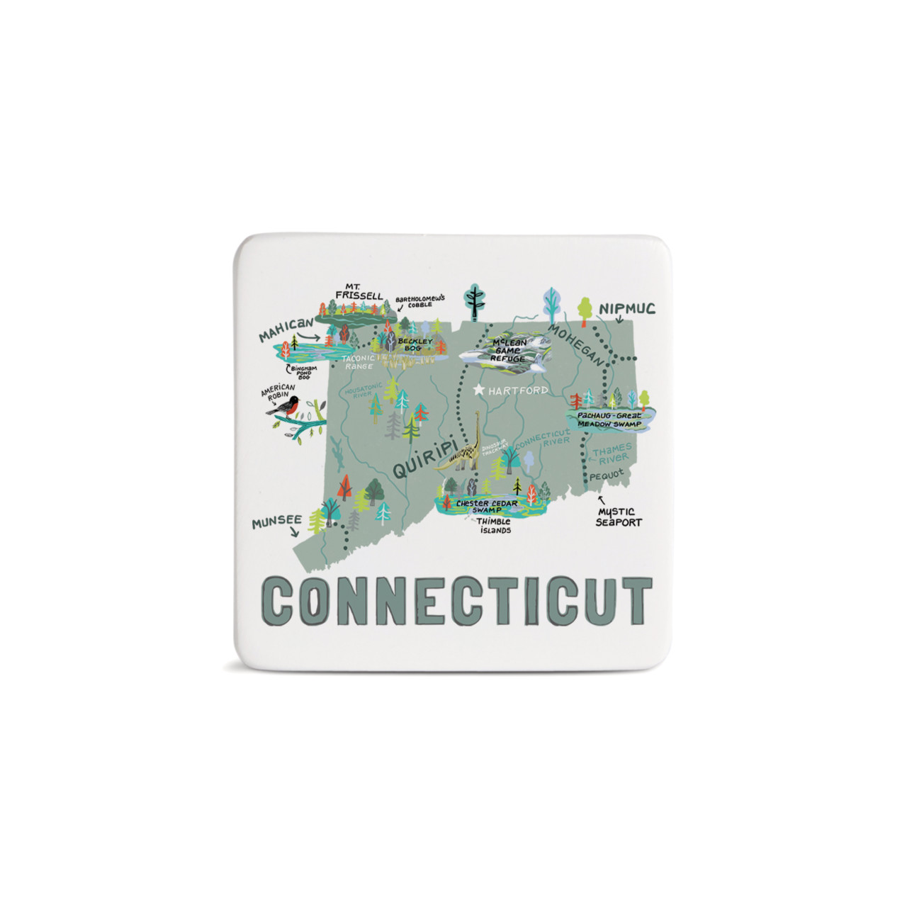 Connecticut State Magnet - Bone thumbnail