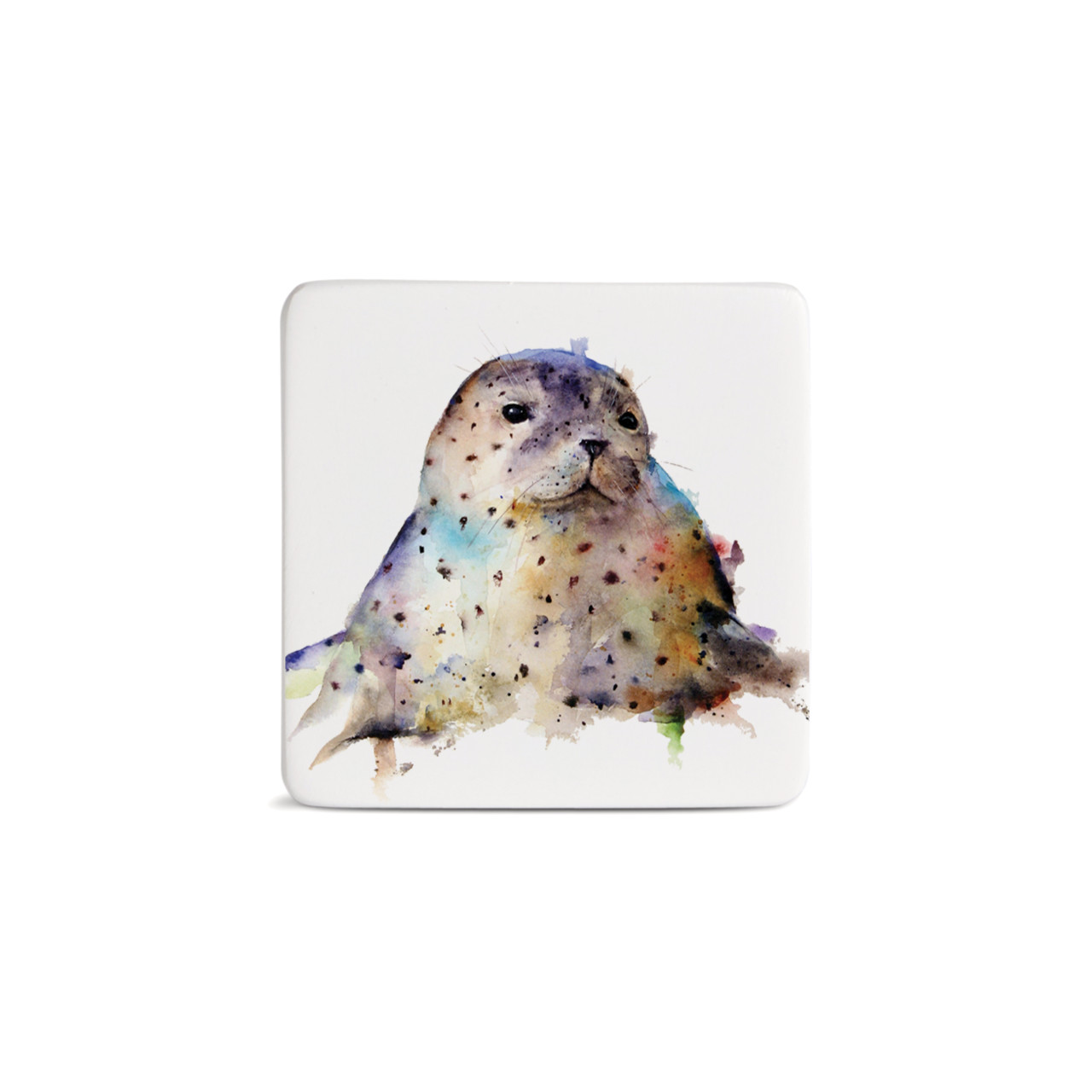 Seal Magnet - Bone thumbnail