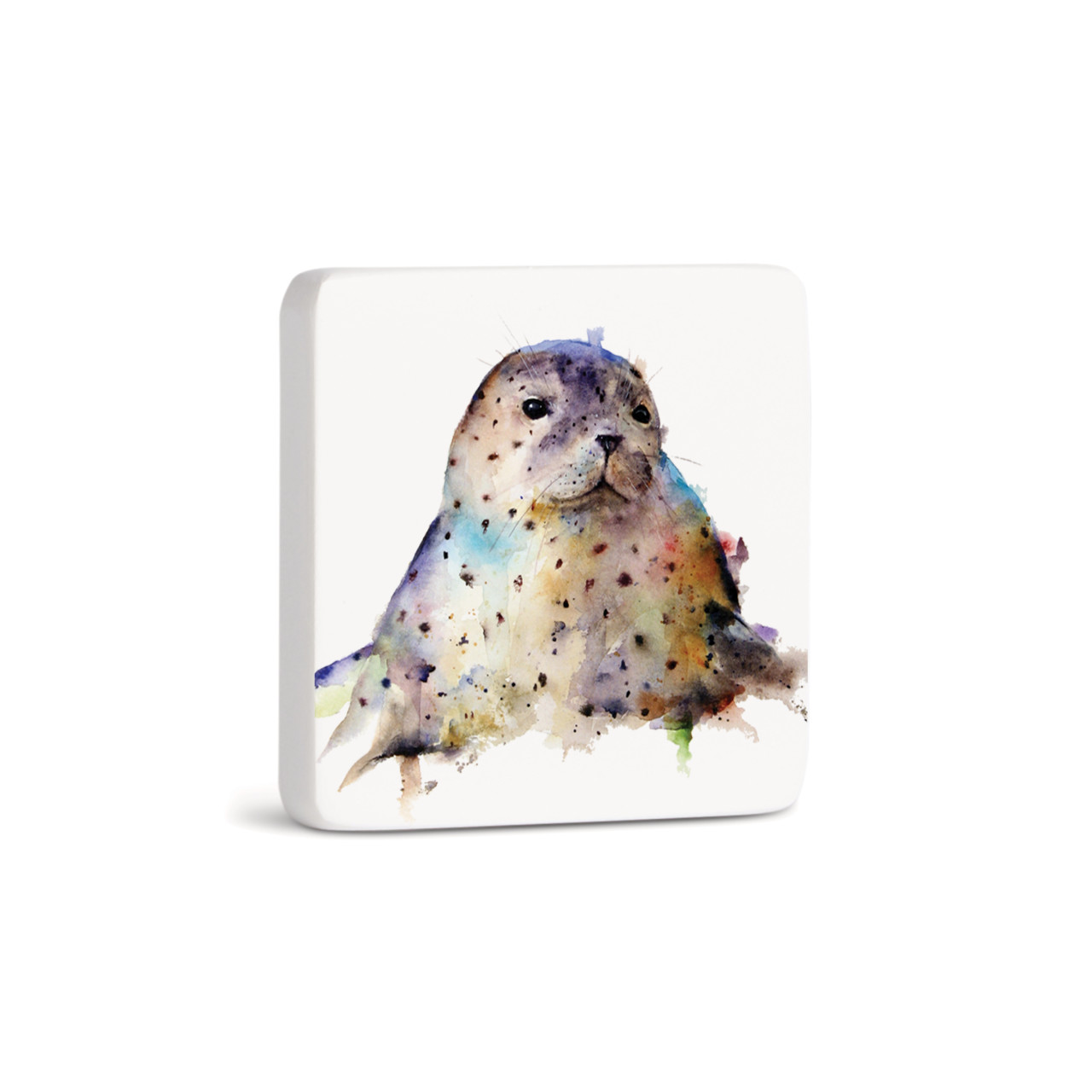 Seal Magnet - Bone thumbnail