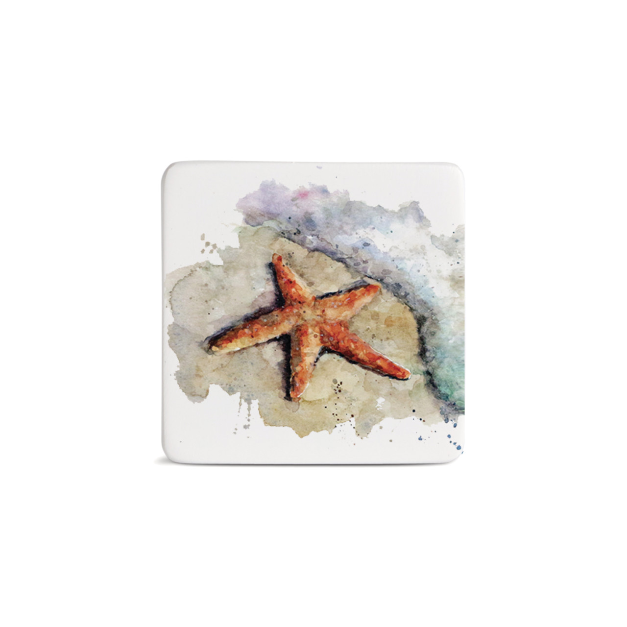 Starfish Magnet - Bone thumbnail