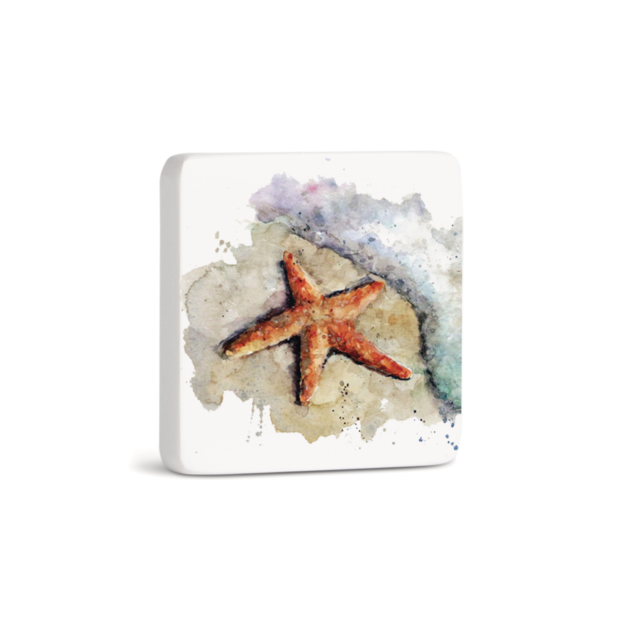 Starfish Magnet - Bone thumbnail
