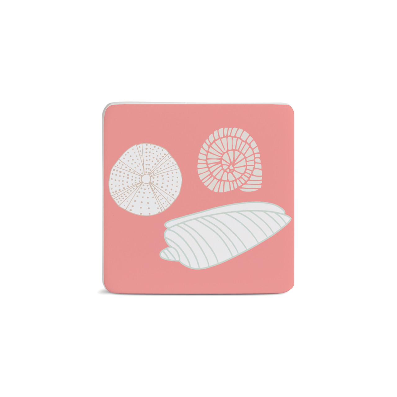 Seashells Magnet - Bone thumbnail